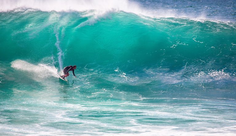 Mastering the Crest: A Comprehensive Guide to the Basics of Surfing